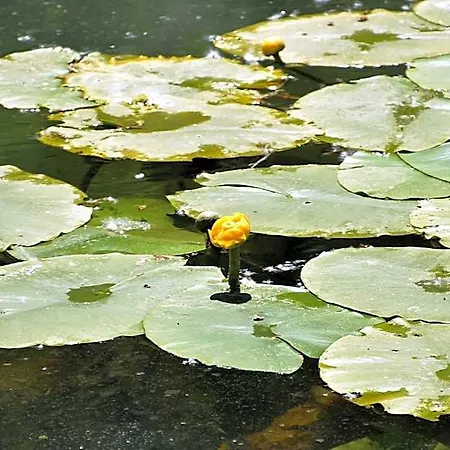 Rio Ucero 3* إل بورغو دي أوسما