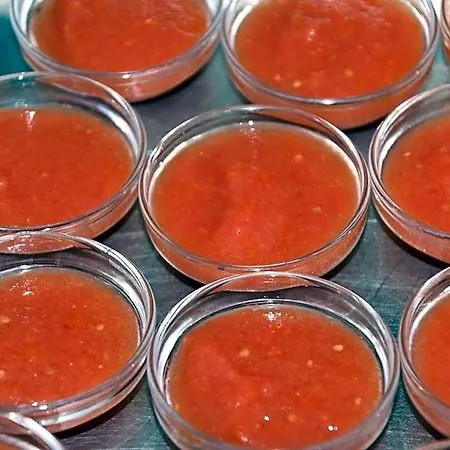 Rio Ucero فندق إل بورغو دي أوسما