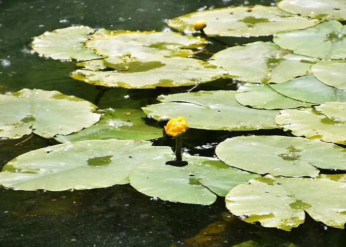 ホテル Rio Ucero 3*